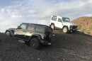 safari on uneaven ground